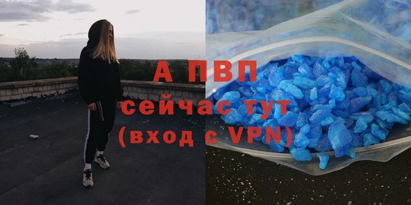 амф Верхний Тагил